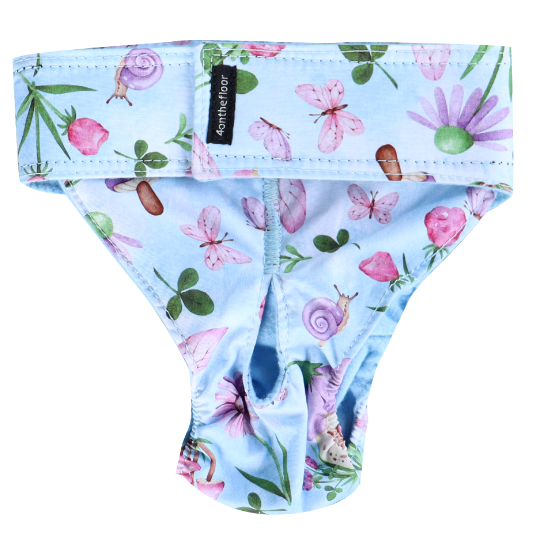 Fairy Land (Chickwear)