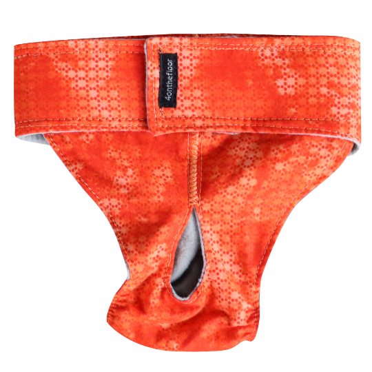 Jelly Bean Orange (Chickwear)