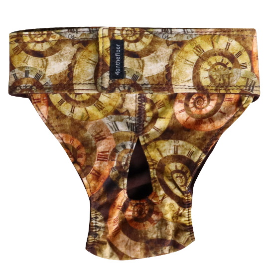 Steampunk Style (Chickwear)