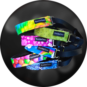 puppy packs (collar/lead combos), toy dog martingale, safety catch collar